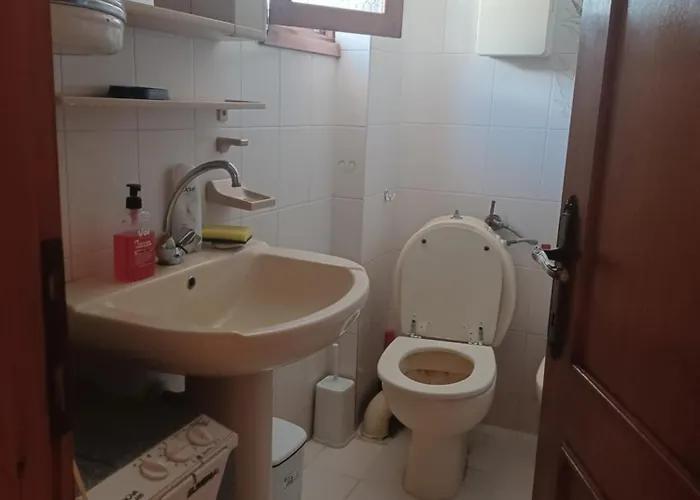 公寓 Golden Vacations At 2 佩科霍里